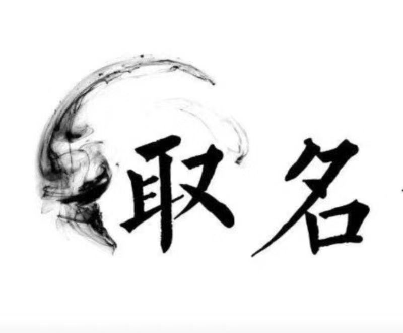  中站宝宝取名 大师一对一人工起名